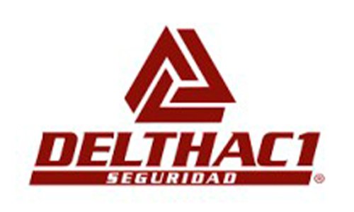 Logos servicios_0006_delthac_1_seguridad_logo
